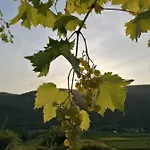 Moselglueck