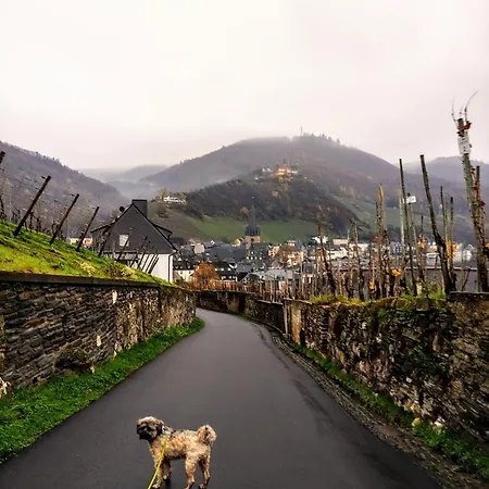 Lejlighed Moselglueck