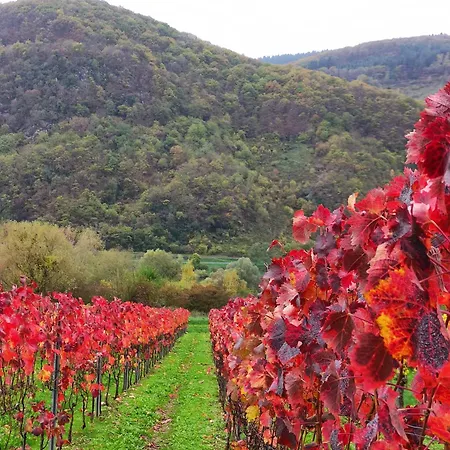 Lejlighed Moselglueck Enkirch