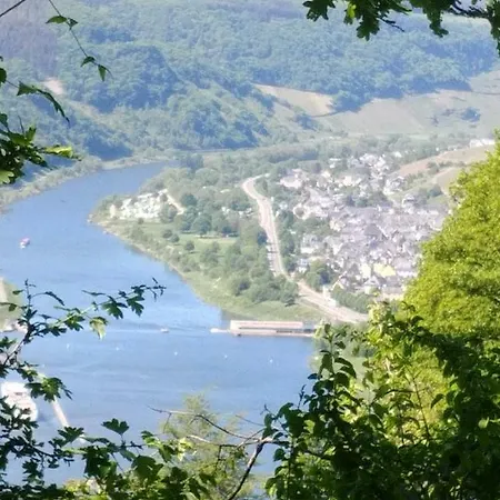 Lägenhet Moselglueck Enkirch