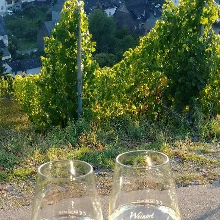 Appartement Moselglueck