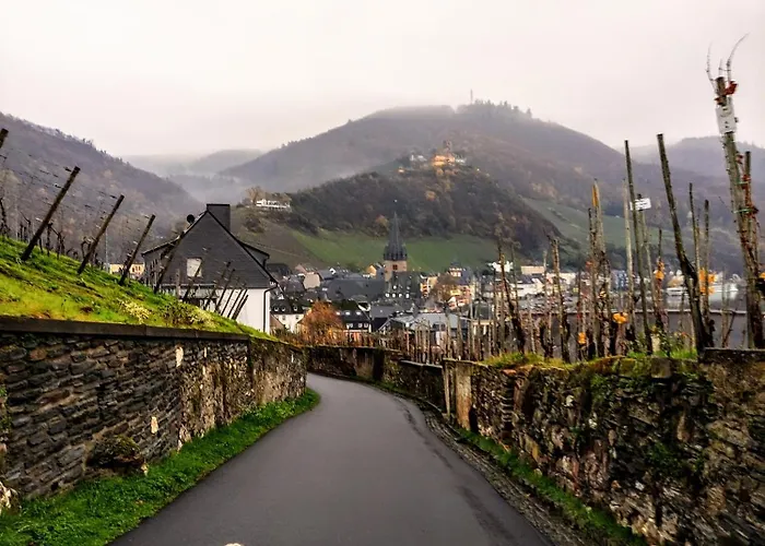 Apartman Moselglueck