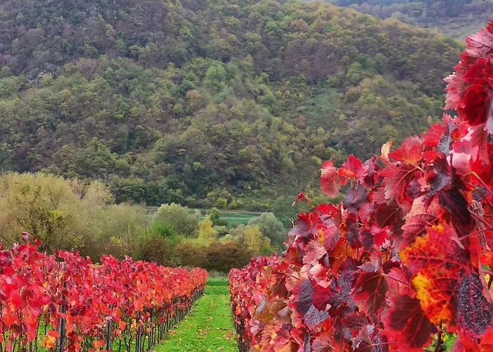 Apartman Moselglueck Enkirch