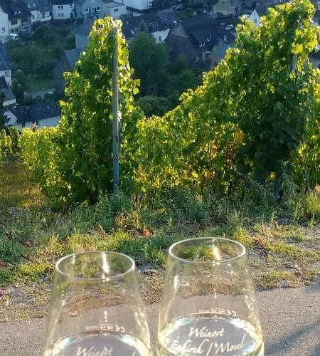 Apartman Moselglueck