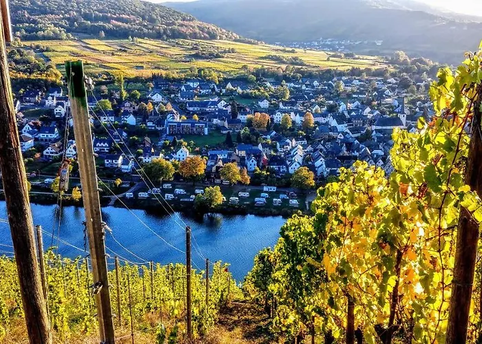 Apartman Moselglueck